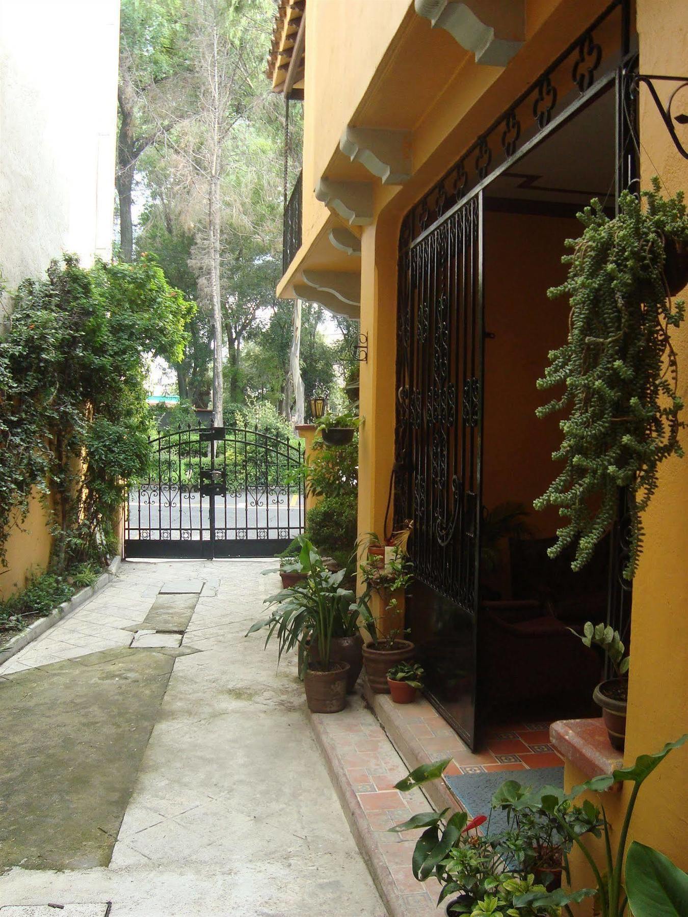 La Querencia Df Bed & Breakfast Kota Meksiko Bagian luar foto